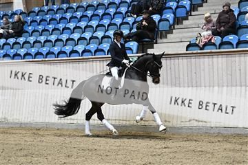 182241_kbb_01_Z094008.JPG