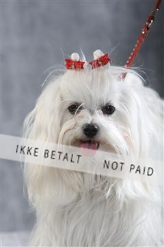 129608_le_ 01_0182.JPG