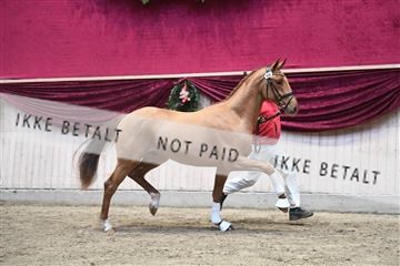 164516_kuo_01_D05_1646.JPG