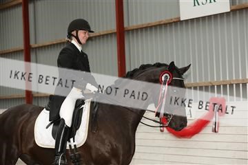 139835_sg_03_IMG_9506.JPG