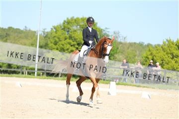 168732_mtp_01_3M5A8130.JPG