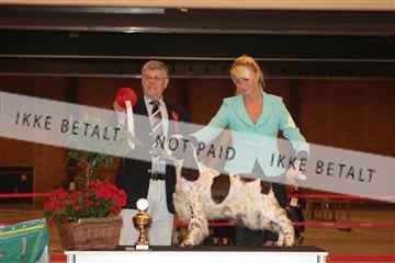 124188 _tl_02_IMG_9343.JPG