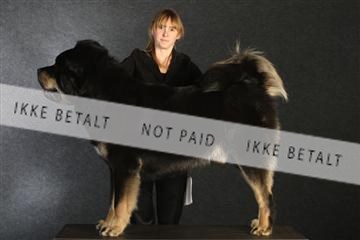 132082_le_ 01_IMG_0656.JPG