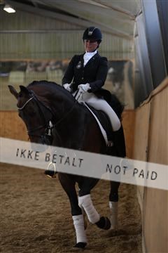 139206_kl_1_8M1Q5438.JPG