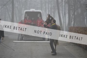 139327_abo_01__AB10087.JPG