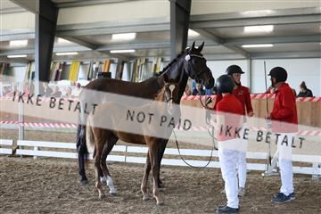 181756_mtp_03_R62_2765.JPG