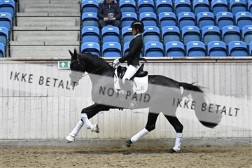 182241_kbb_01_Z094759.JPG