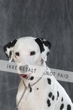 130054_le_ 03_0127.JPG