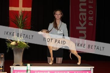 126827_tl_02_IMG_2903.JPG