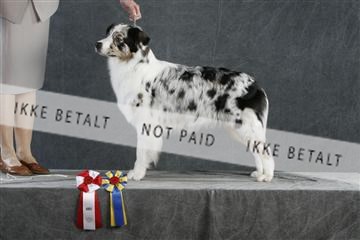 5493_sme _02__MG_9742.JPG