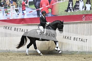 182241_kbb_01_Z094137.JPG