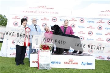 181564_kar_01__62_7416.JPG