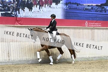 182241_kbb_01_Z094253.JPG