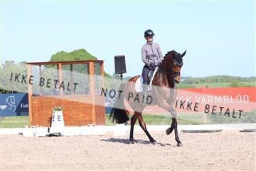 181449_bc_01R62_6097.JPG