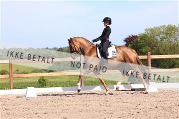 181449_bc_01R62_6030.JPG