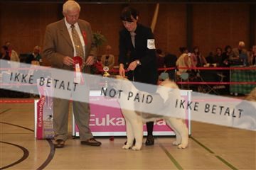 124188 _tl_02_IMG_9231.JPG