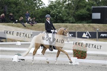 166078_rhj_01__J7R3569.JPG