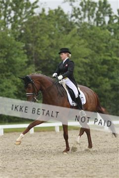 139835_sg_02_IMG_8989.JPG
