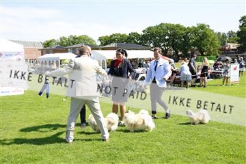 181564_kar_01__62_7768.JPG