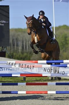139644_abo_02__AB14791.JPG