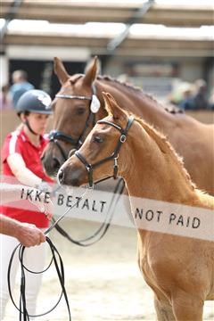 175057_kuo_01_R62_5045.JPG