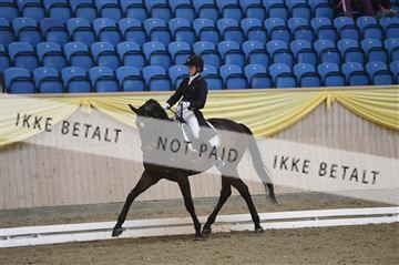 139403_ms_01__MS18318.JPG