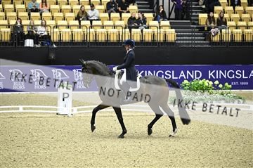 182194_kbb_02_Z099055.JPG