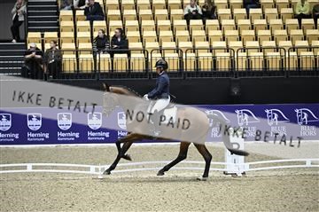182194_kbb_01_Z096226.JPG
