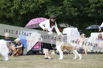 181848_kar_01__62_1031.JPG