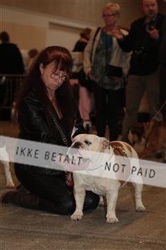 126827_tl_01_IMG_1003.JPG