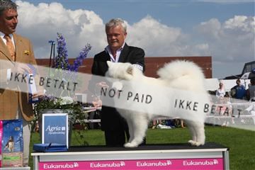 130370_se_03_IMG_7665.JPG