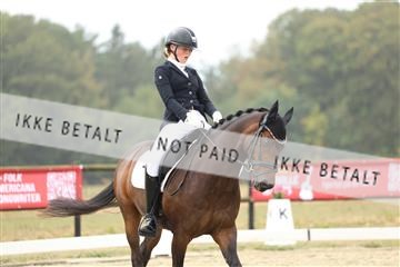181894_mtp_04_R62_3510.JPG