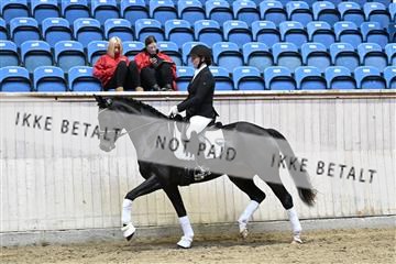 182241_kbb_01_Z093107.JPG
