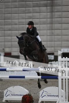 152762_nn _05_IMG_7664.JPG