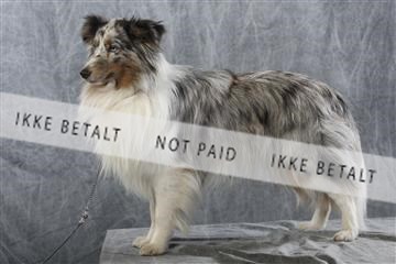 129608_le_ 01_0908.JPG