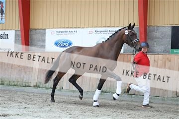 181868_mtp_01_R62_5131.JPG