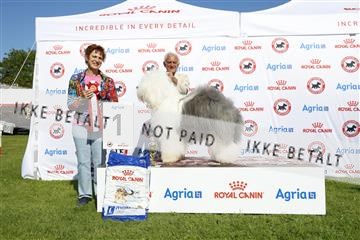 181564_kar_01__62_8173.JPG