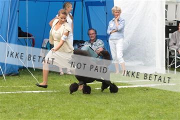 130370_tl_01_IMG_7160.JPG