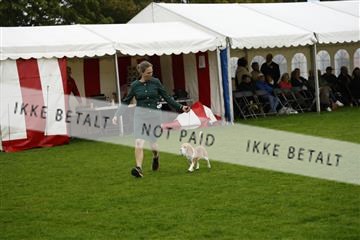 182009_kar_01__62_6106.JPG