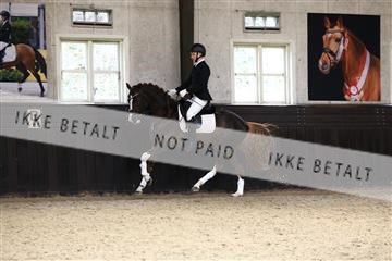 181243_avh_01_2300 (1).JPG