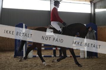 139206_kl_1_8M1Q5261.JPG