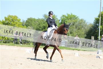 168732_mtp_01_3M5A8168.JPG