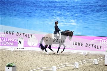182194_avh_05_2293.JPG