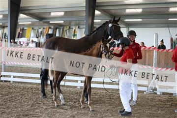 181756_mtp_03_R62_2764.JPG