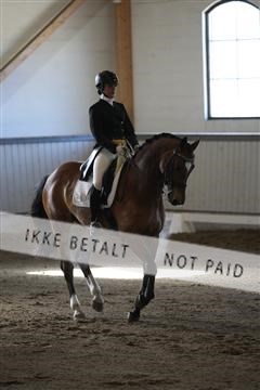 139267_kl_1_8M1Q6467.JPG