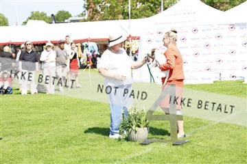 181564_kar_01__62_7869.JPG