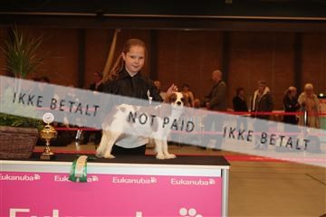 124188 _tl_02_IMG_9202.JPG