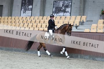 181852_mtp_02_R62_1832.JPG