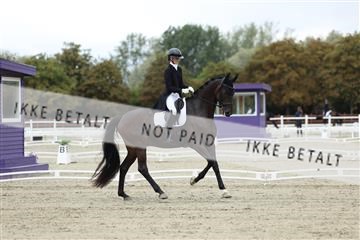 181923_mtp_03_R62_7425.JPG