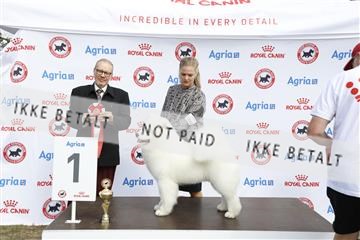 181848_kar_01__62_3672.JPG